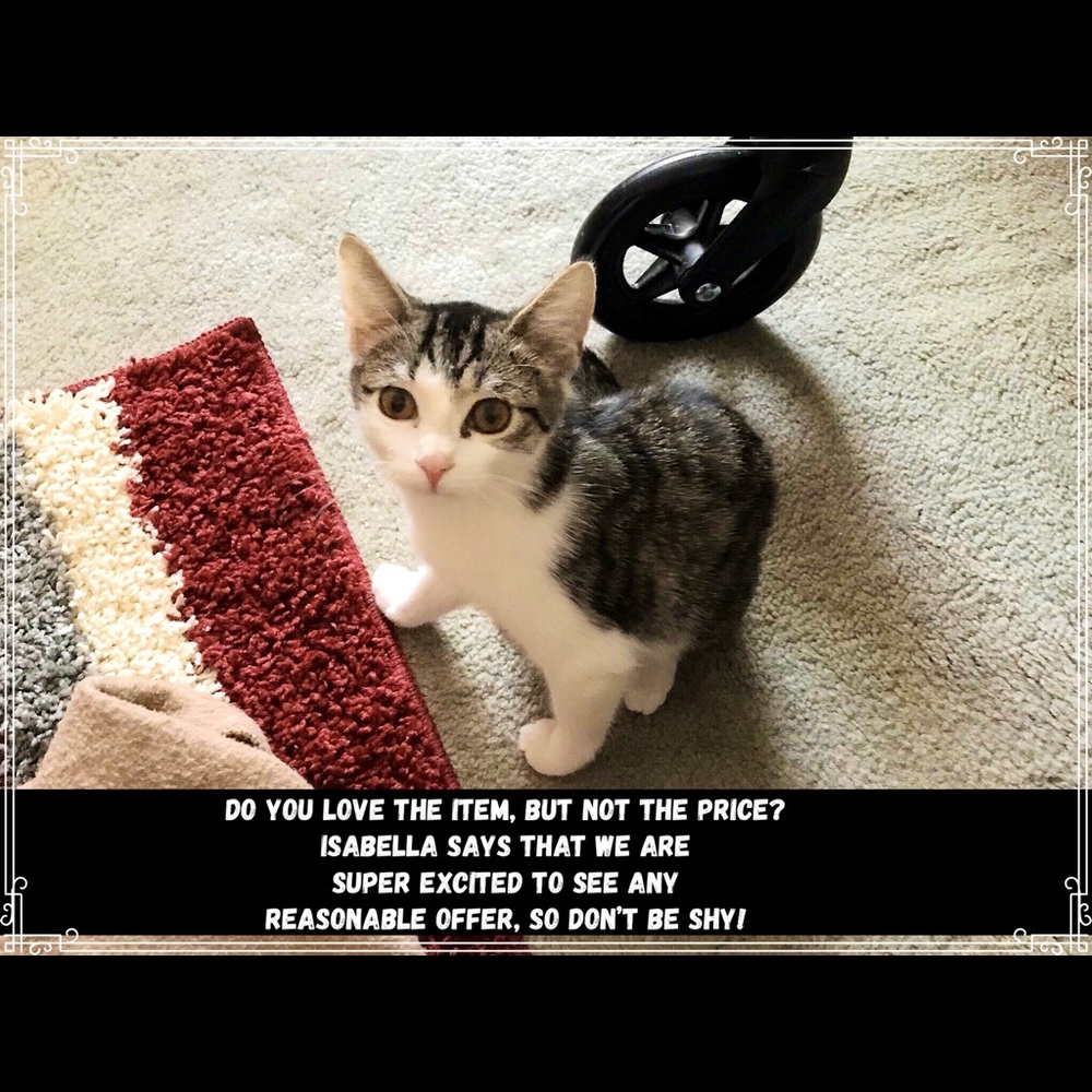 This is Isabella. She is priceless.